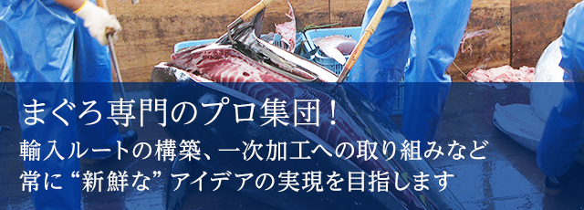 まぐろ専門のプロ集団株式会社エムセブン