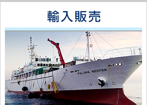 輸入販売
